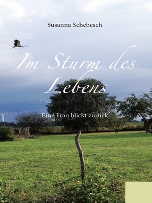 cover image of Im Sturm des Lebens